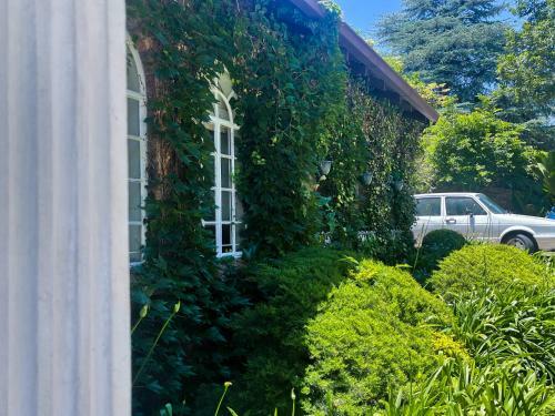 Hostal Amorus Guesthouse