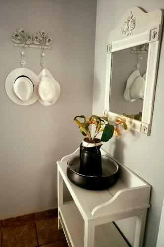 Bed & Breakfast 464 On 22nd Ave Guesthouse
