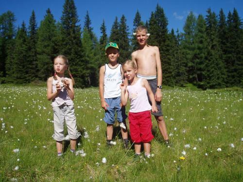Chalet Rasnerhof