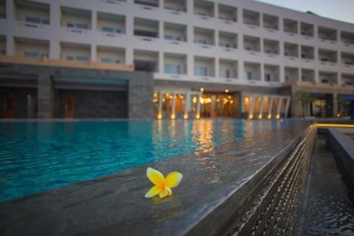 Pollos Hotel & Gallery