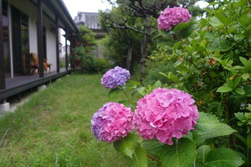 Hostal Guest House Ki-zu - Vacation Stay 95389v