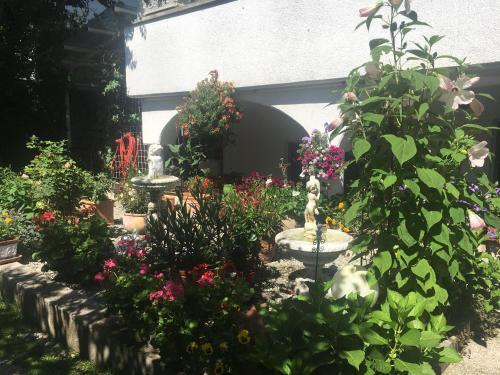 Apartamento Haus Lisi