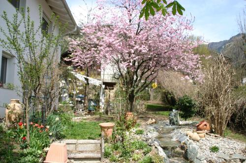 Apartamento Haus Lisi