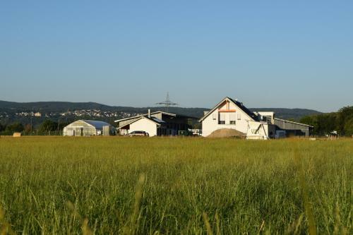 Apartamento Einladende Ferienwohnung Auf Bauernhof In Sinzig