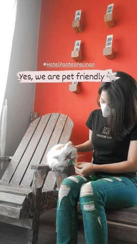 Hotel Pantes Semawis Pecinan Smg - Petfriendly Hotel