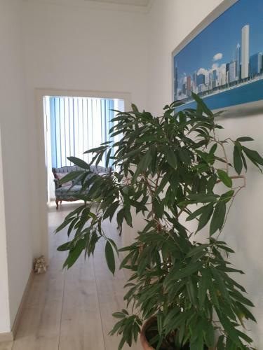 Apartamento Marumparkblick
