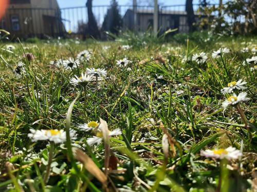 Apartamento Gartenblick Trebbin