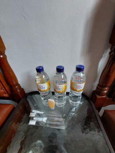 Mamaji Guest House