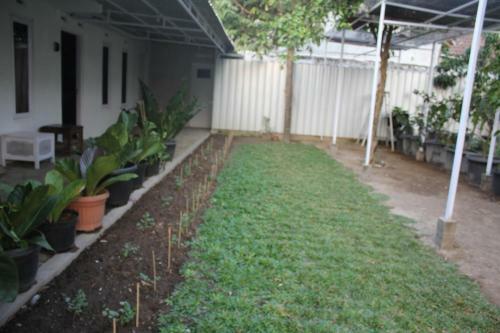 Hostal Omah Kebon Kalasan