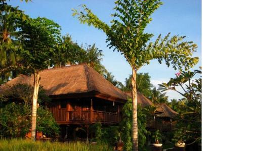 Bed & Breakfast Singko Lovina