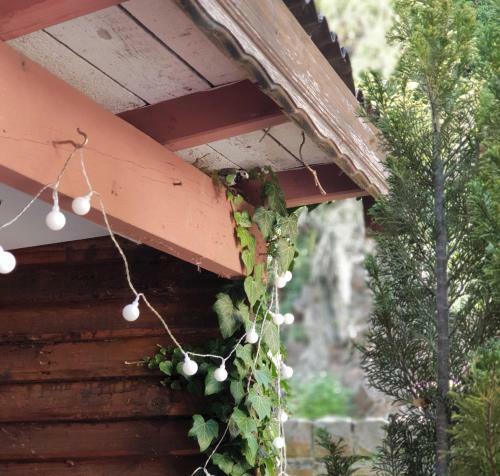 Hostal Hotel Elfenm�hle