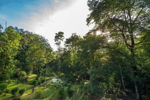 Villa Rest Pause Rainforest Retreat