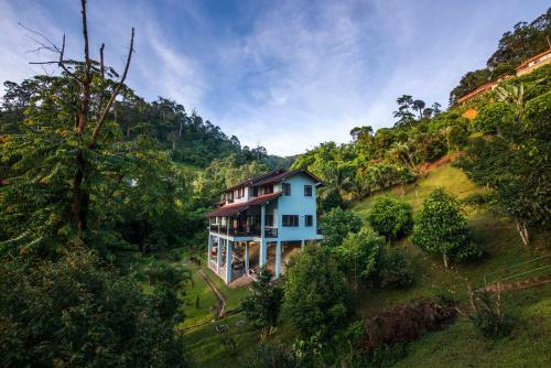 Villa Rest Pause Rainforest Retreat