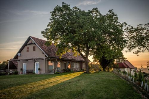 Winzarei, Weingut Tement