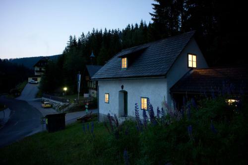 Zinkhaus - Waldheimat Alpl