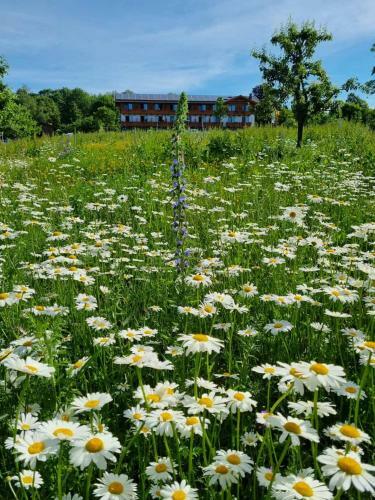 Steig-alm Hotel Superior