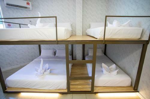 Hostal Lazy Cat Home At Gaya Street