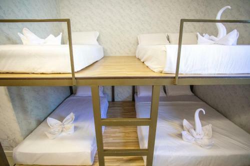 Hostal Lazy Cat Home At Gaya Street