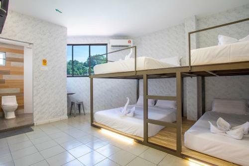 Hostal Lazy Cat Home At Gaya Street