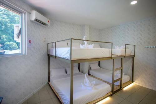 Hostal Lazy Cat Home At Gaya Street