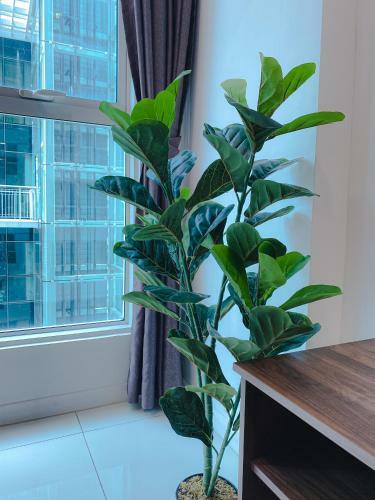 Apartamento Maison Life ??? Sutera Avenue