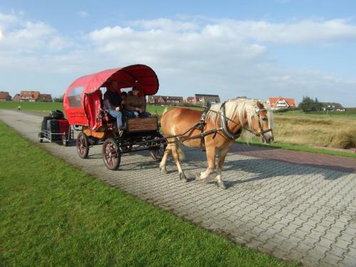 Naturhotel Baltrum