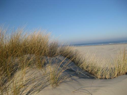 Naturhotel Baltrum