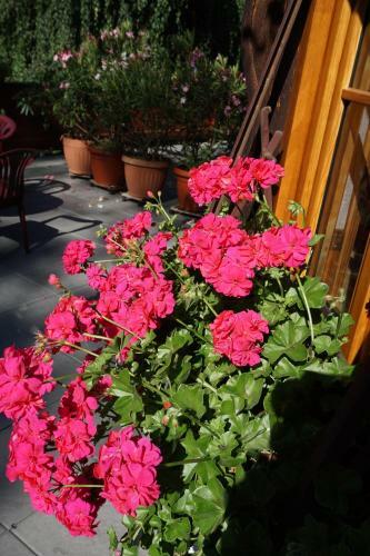 Hostal Haus Sonnenblick