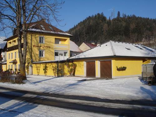 Hostal Pension Dullnig