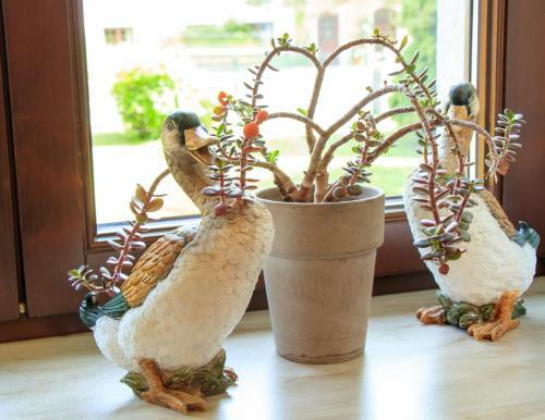 Bed & Breakfast Pension Alte M�hle