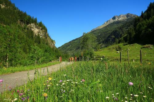 Bed & Breakfast Pension Alte M�hle