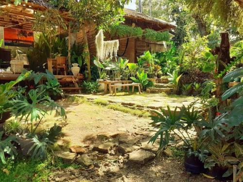 Hostal Payag N' Kapitan, Experience Pinubre Living