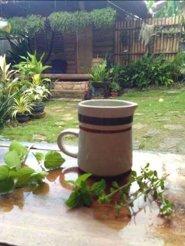 Hostal Payag N' Kapitan, Experience Pinubre Living