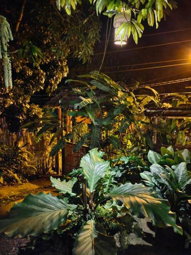 Hostal Payag N' Kapitan, Experience Pinubre Living
