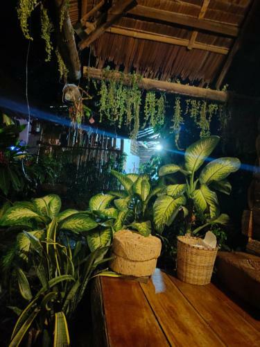 Hostal Payag N' Kapitan, Experience Pinubre Living