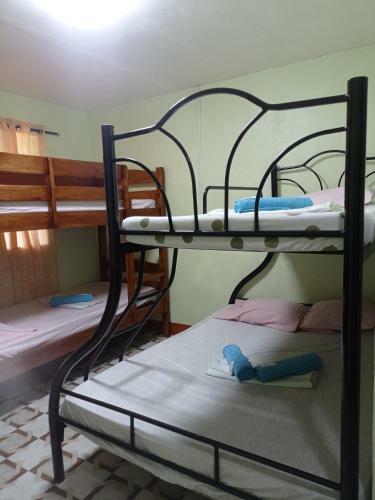 Amber Homestay