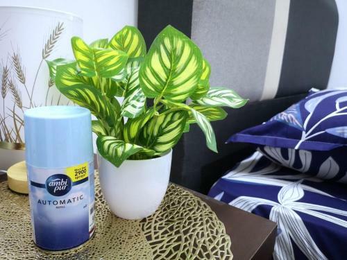 Apartamento Yolo Budget Condo Premium Facilities