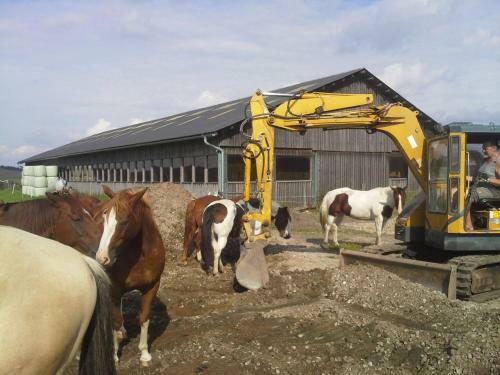Agroturismo Espi-stables Ferienhof Esterhammer