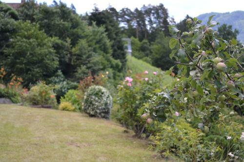 Hostal Pension Nagele