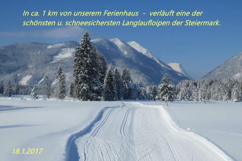 Ferienhaus Anke - Ausseerland