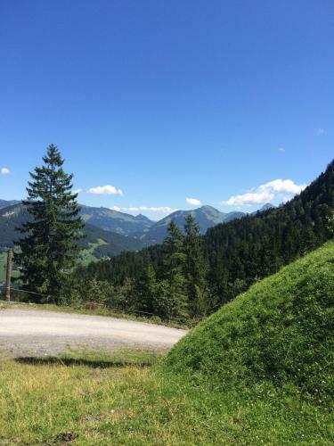 Apartamento K�ferhof