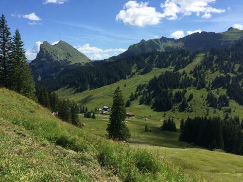 Apartamento K�ferhof