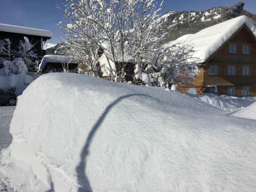 Apartamento K�ferhof
