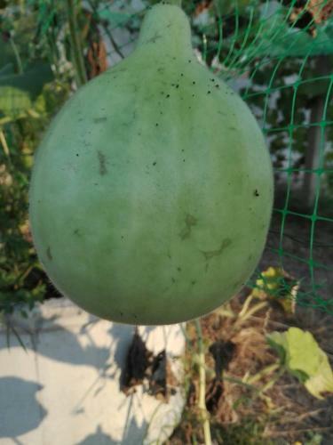 ????????????? ???????????