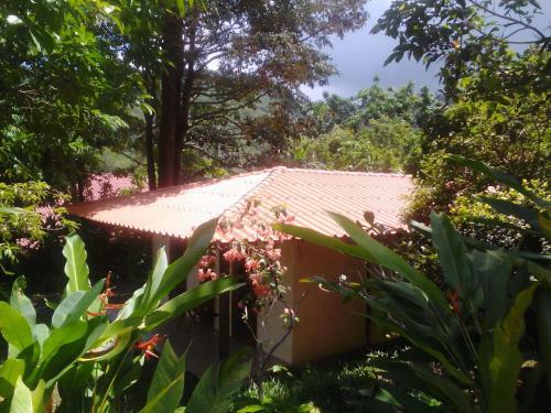 The Cocoon