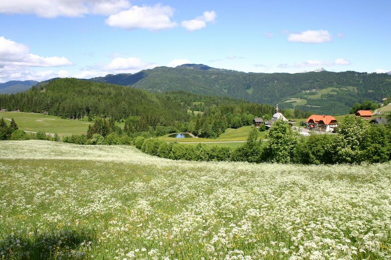 Posada Alpengasthof Moser
