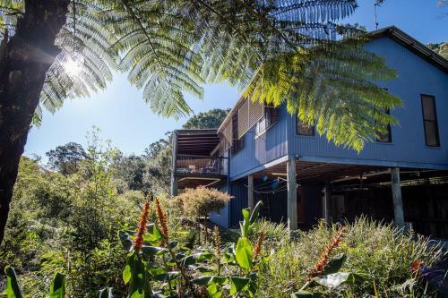 Escape To The Maleny Hinterland This Winter - Pizza Oven, Fireplace, Firepit