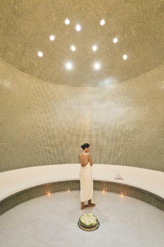 Hotel Chiva-som - Sha Plus