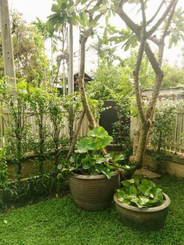 Bed & Breakfast 18 In Town Homestay