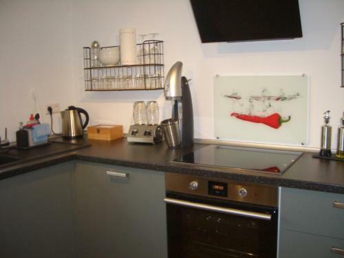 Apartamento Ferienwohnung Rheinspaziert